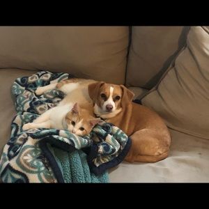 Meet your Posher, Johna